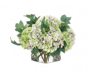 Цветы Hydrangea зеленая лаванда в стеклянном кубе