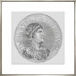 Постер Goltzius Coins Grey 2, рамка 424