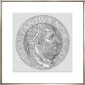 Постер Goltzius Coins Grey 5, рамка 424