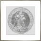 Постер Goltzius Coins Grey 9, рамка 424