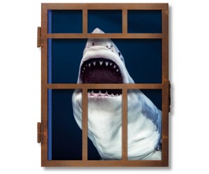 Книга SHARKS